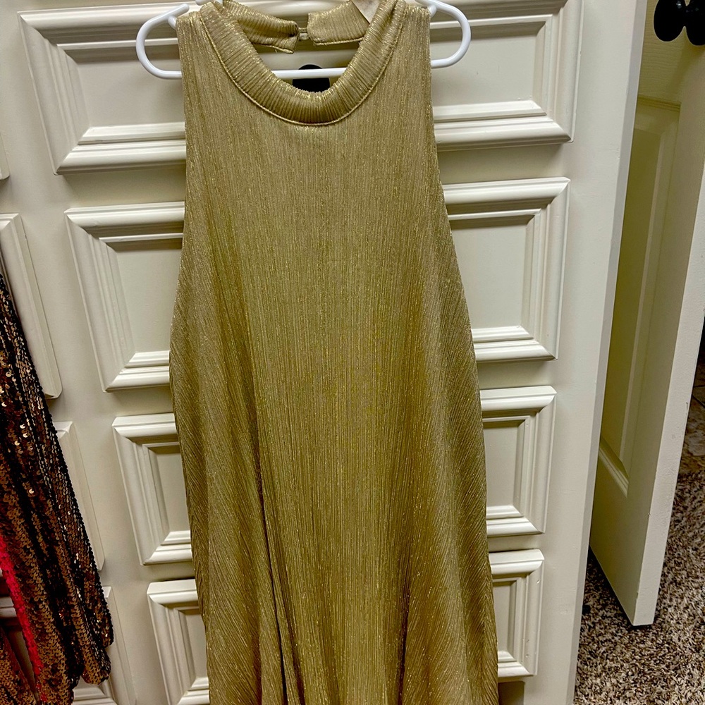 Lazy Sundays Small Boutique purchased NEVER WORN- Gold shimmery dress